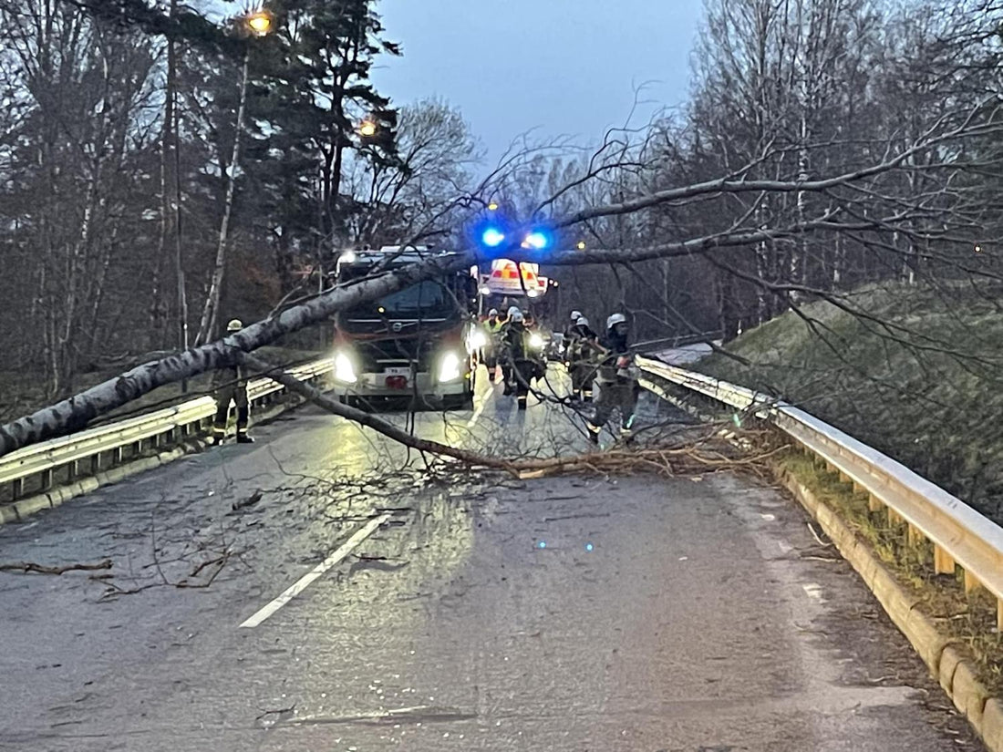 Påskhelgens stormar visar värdet av reservkraft och beredskap