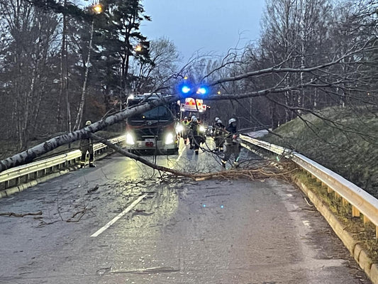 Påskhelgens stormar visar värdet av reservkraft och beredskap