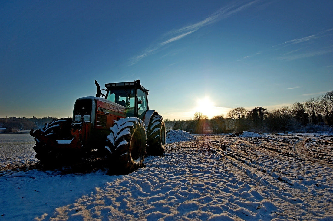 Investeringsstöd för robust primärproduktion – så stärker lantbrukare sin beredskap med reservkraft
